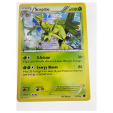 Pokemon Sceptile Holo — Plasma Blast 8/116 Pokemon Kaarten Voorkant — Losse kaart