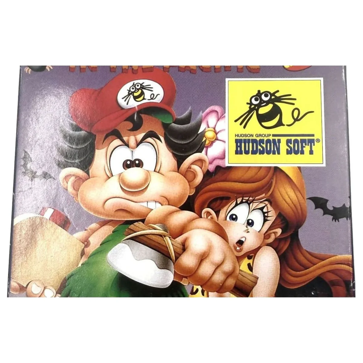 Adventure Island in the Pacific NES Label — Game in doos