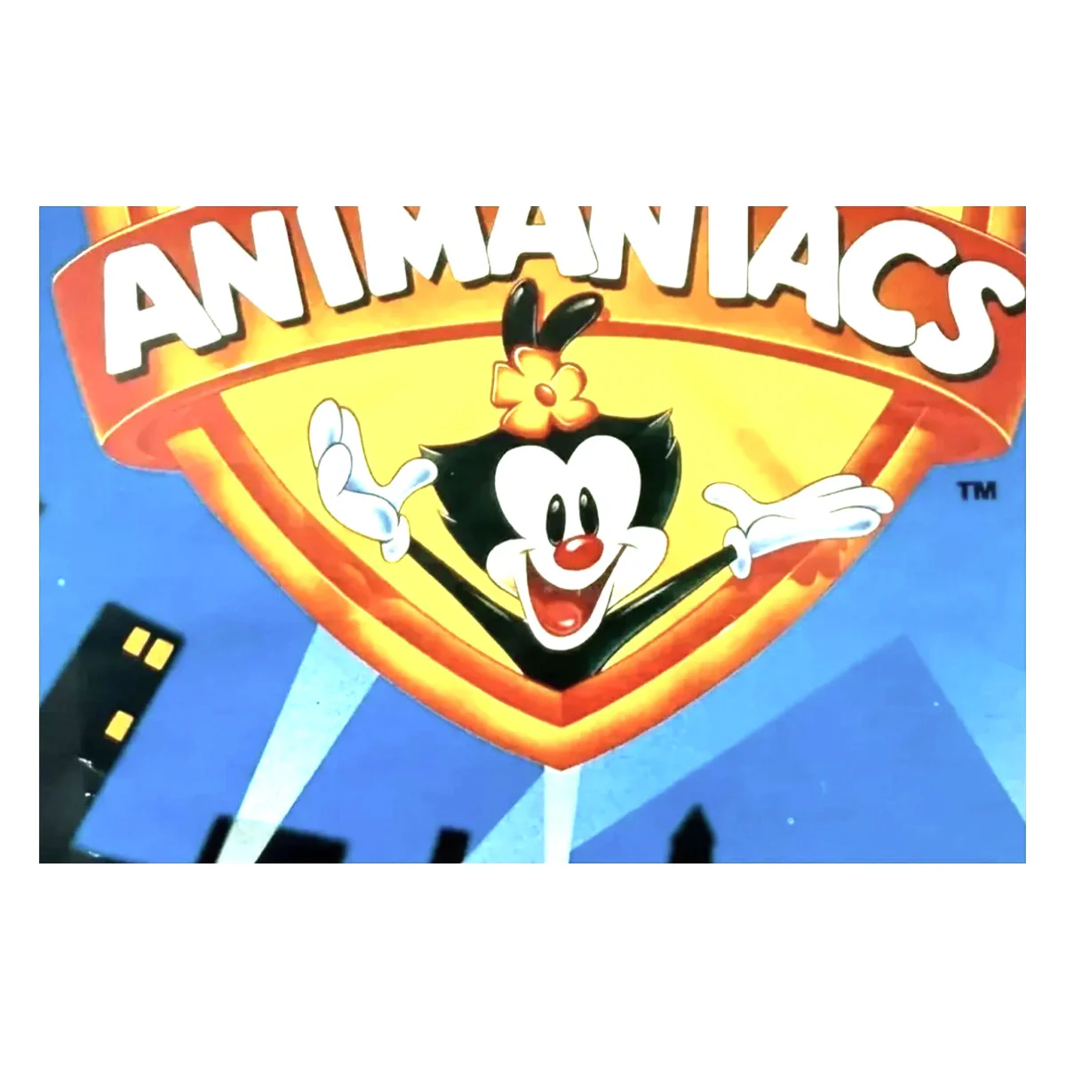 Animaniacs — manual original (Super Nintendo) — foto de detalle 2