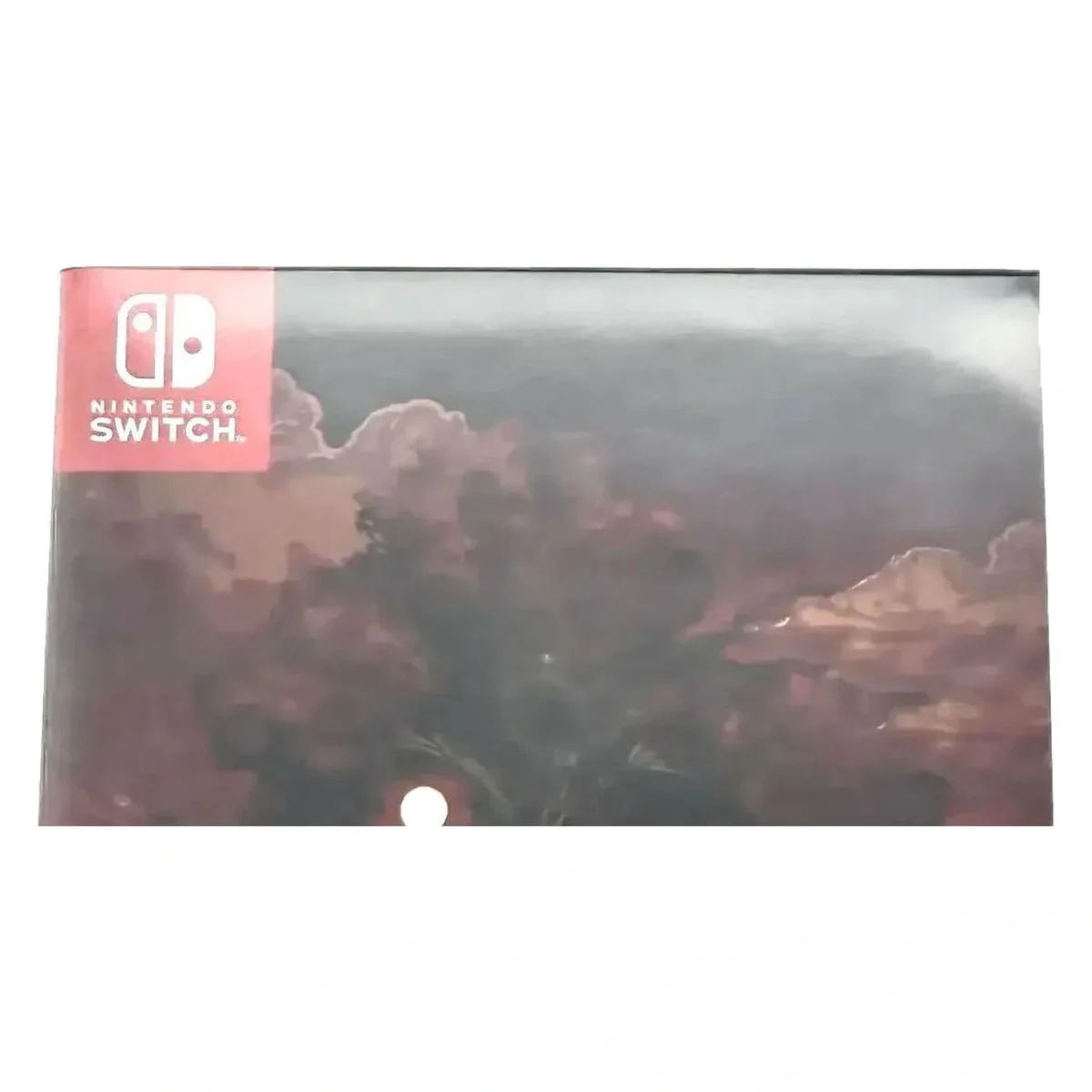 Deadly Premonition 2: A Blessing in Disguise Nintendo Switch Detail — Game in doos