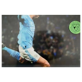 EA Sports FC 24 PlayStation 5 Label — Game in doos
