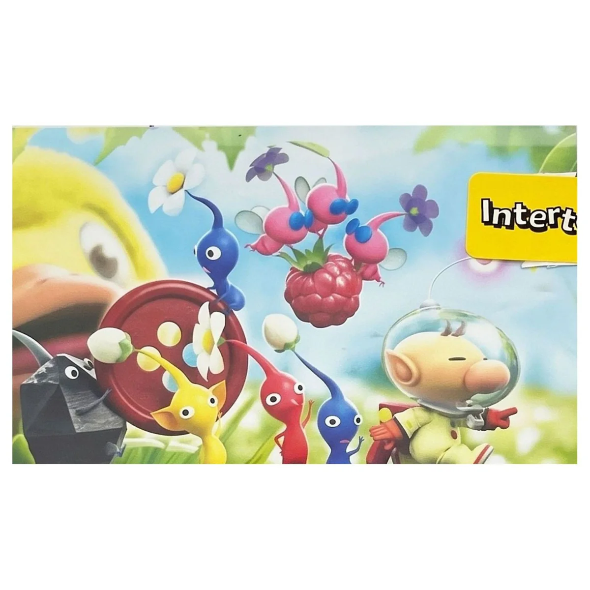 Hey! Pikmin Nintendo 3DS Detail — Game in doos