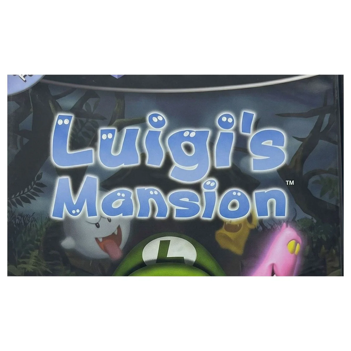 Luigi's Mansion GameCube Detail — Game in doos