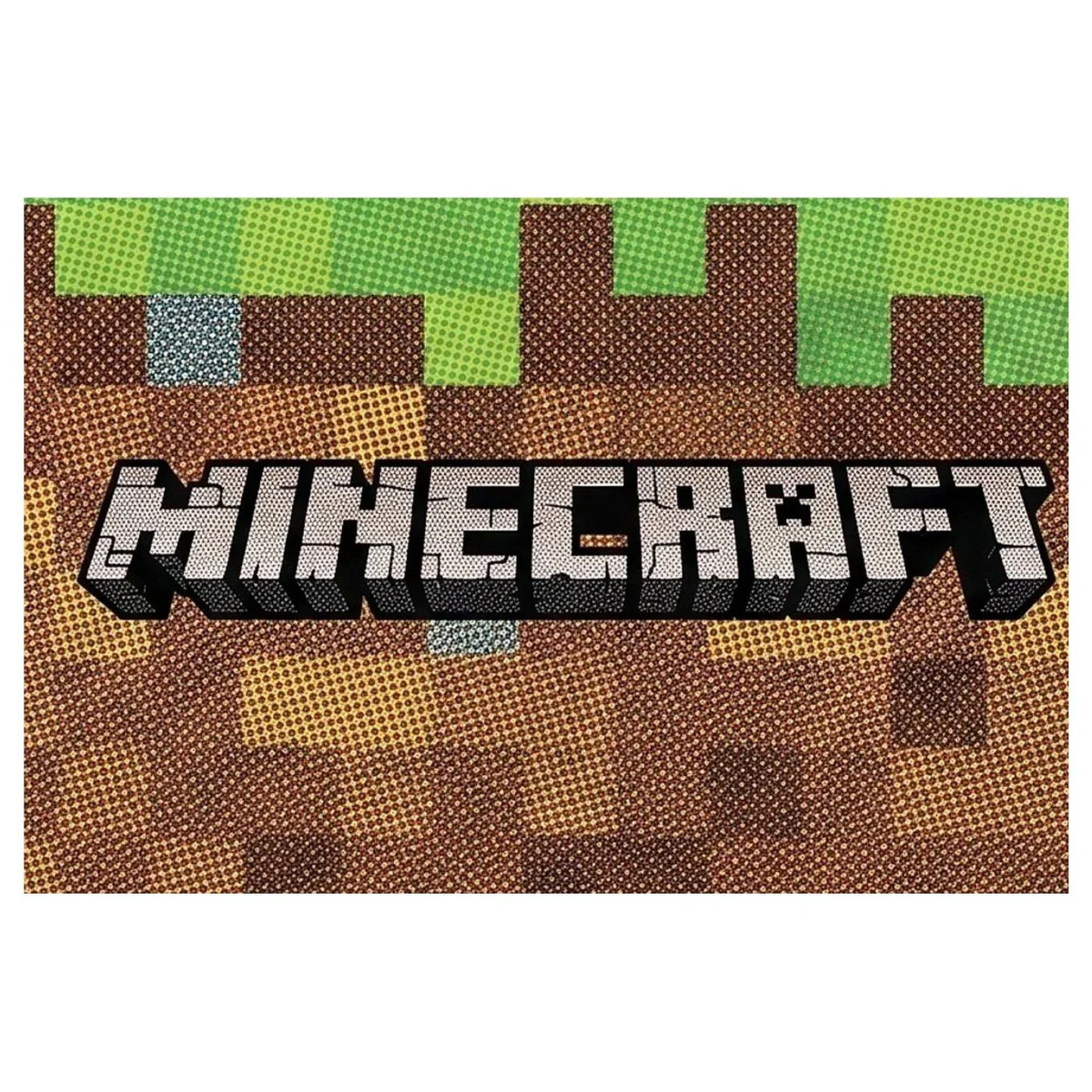 Minecraft (Nintendo Switch) — photo détaillée 2