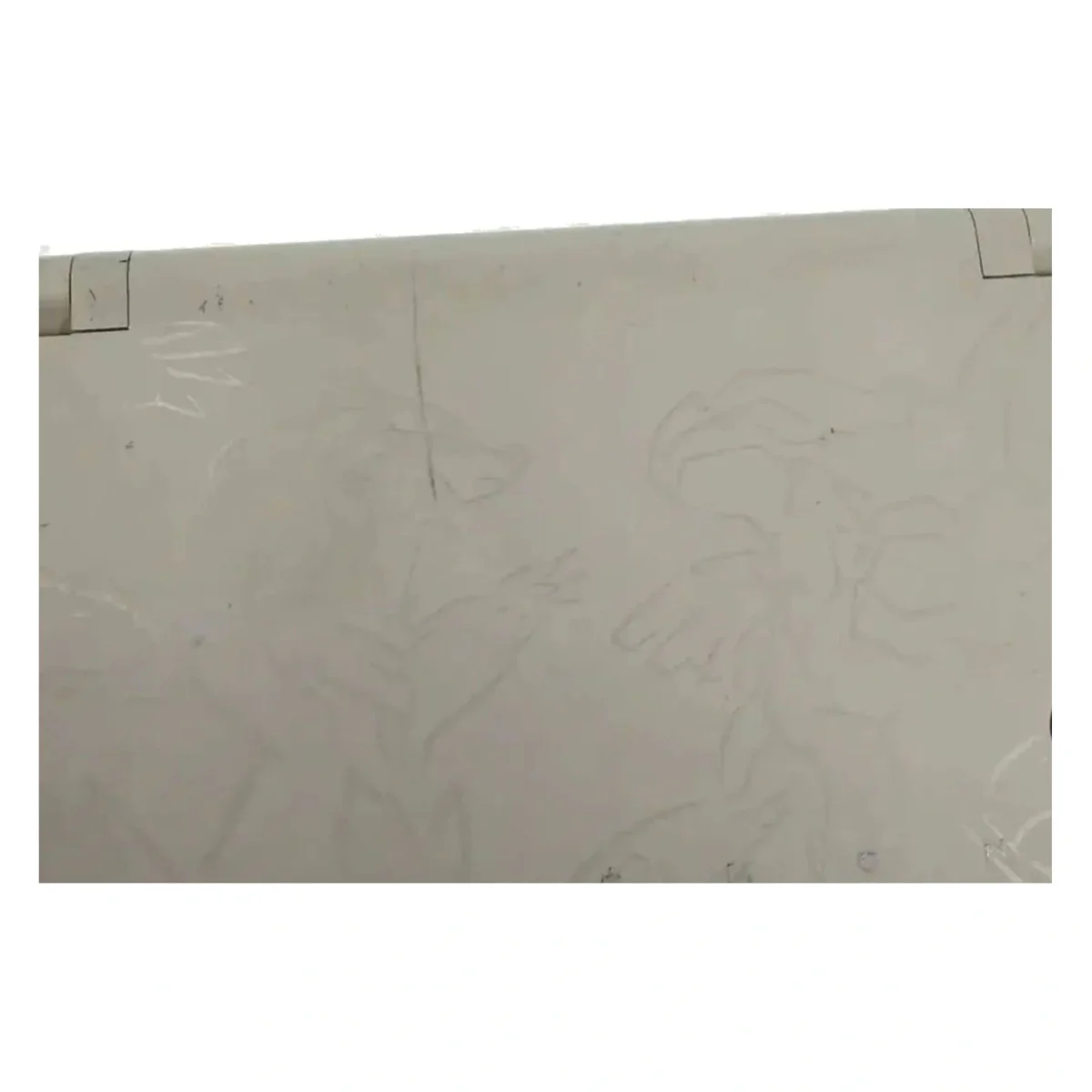 Nintendo DSi Pokemon White Version Edition (Reshiram & Zekrom) (Nintendo DS) — foto di dettaglio 2