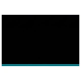 Nintendo Switch Lite Turquoise Nintendo Switch Label — Losse console