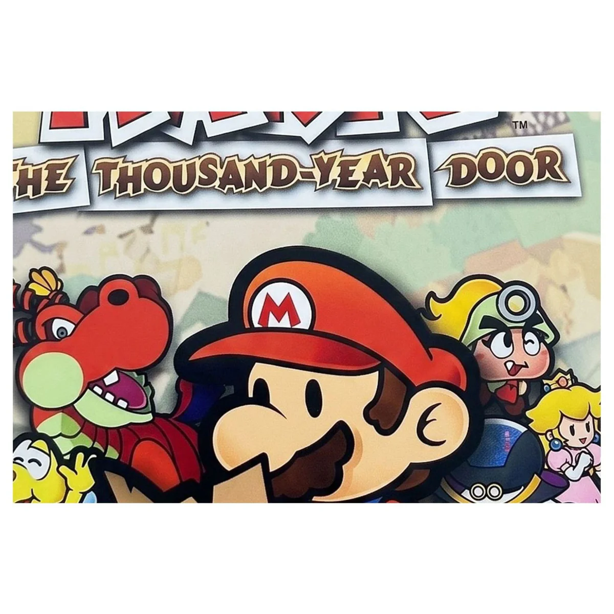 Paper Mario: The Thousand-Year Door GameCube Label — Game in doos