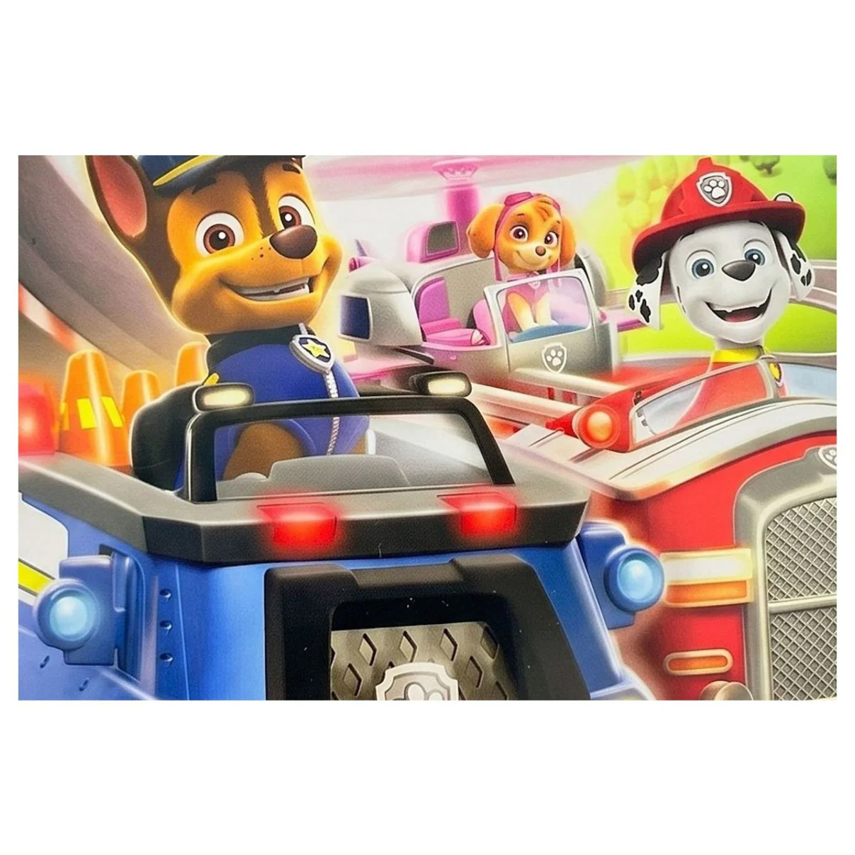 Paw Patrol: Grand Prix Nintendo Switch Label — Game in doos