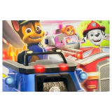 Paw Patrol: Grand Prix Nintendo Switch Label — Game in doos