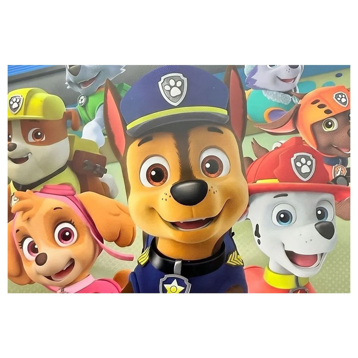 Paw Patrol: On A Roll! Nintendo Switch Label — Game in doos