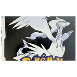 Pokemon Black Nintendo DS Detail — Game in doos