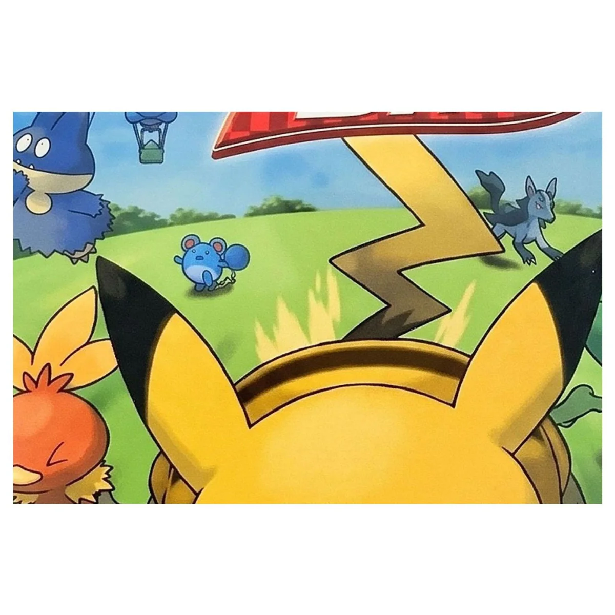 Pokemon Dash Nintendo DS Label — Game in doos