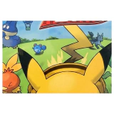 Pokemon Dash Nintendo DS Label — Game in doos