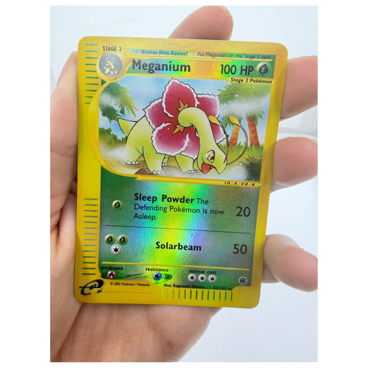 Pokemon Meganium — Expedition Base Set 53/165 (Pokemon Kaarten) — Einzelkarte