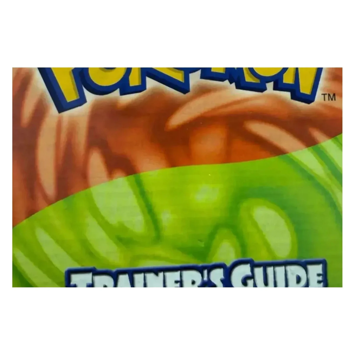 Pokemon Ruby & Sapphire — officiële Trainer's Guide (Game Boy Advance) — zdjęcie szczegółowe 2