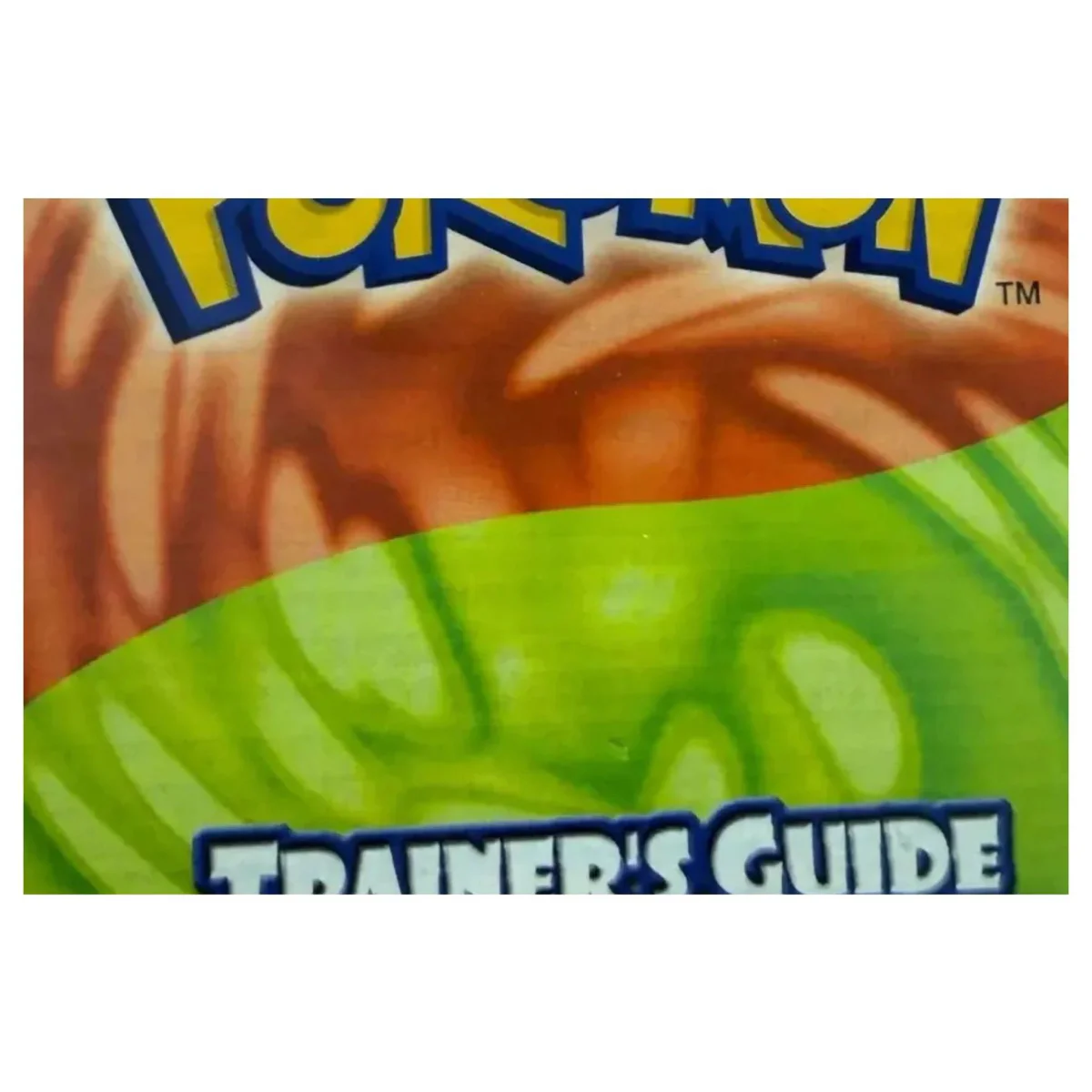 Pokemon Ruby & Sapphire — officiële Trainer's Guide Game Boy Advance Label — Met handleiding