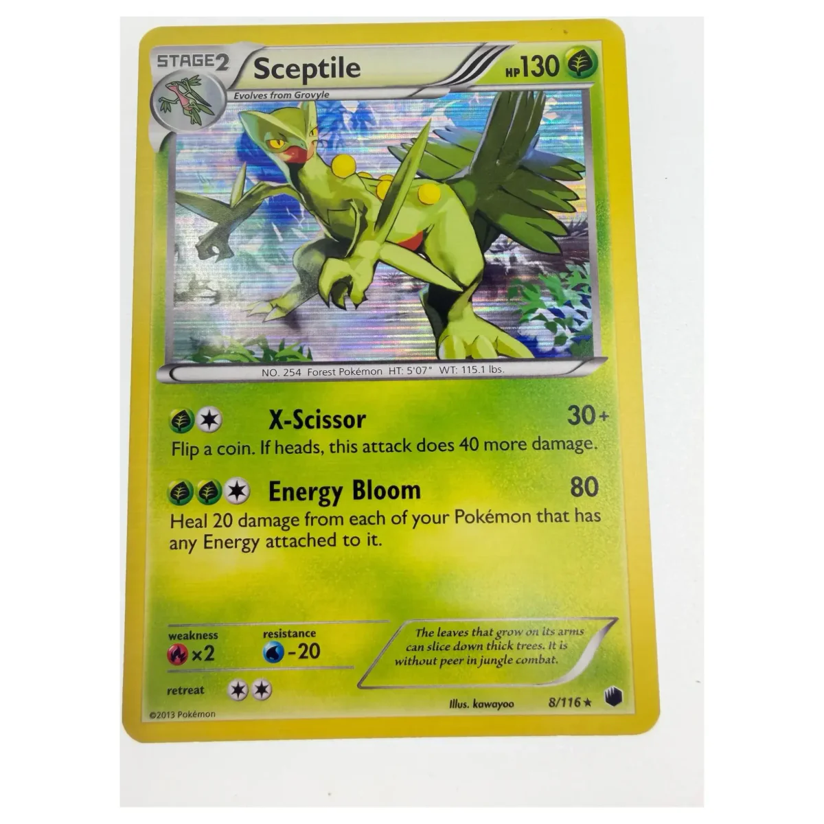 Pokemon Sceptile Holo — Plasma Blast 8/116 (Pokemon Kaarten) — Einzelkarte