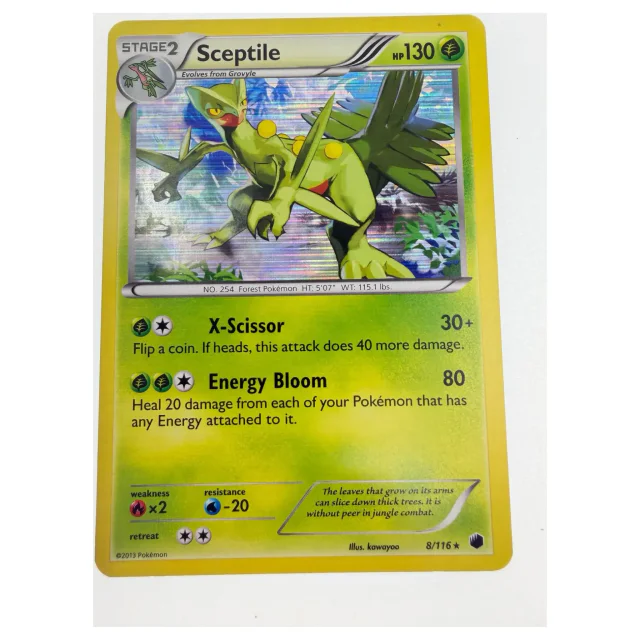 Pokemon Sceptile Holo — Plasma Blast 8/116 — Pokemon Kaarten