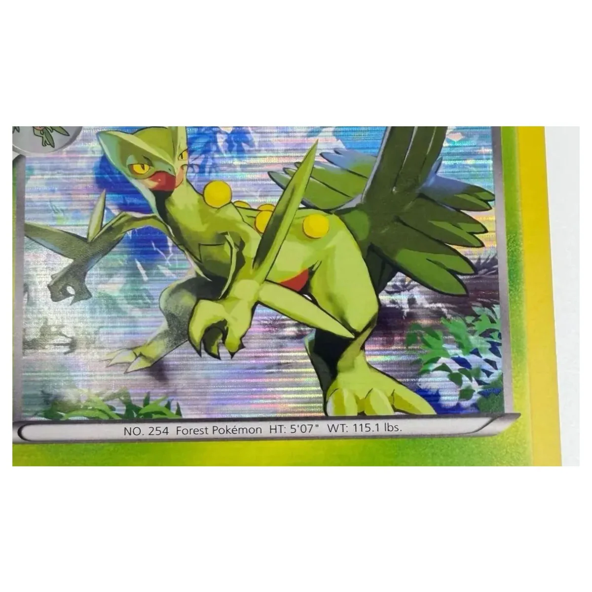 Pokemon Sceptile Holo — Plasma Blast 8/116 (Pokemon Kaarten) — Detailfoto 1