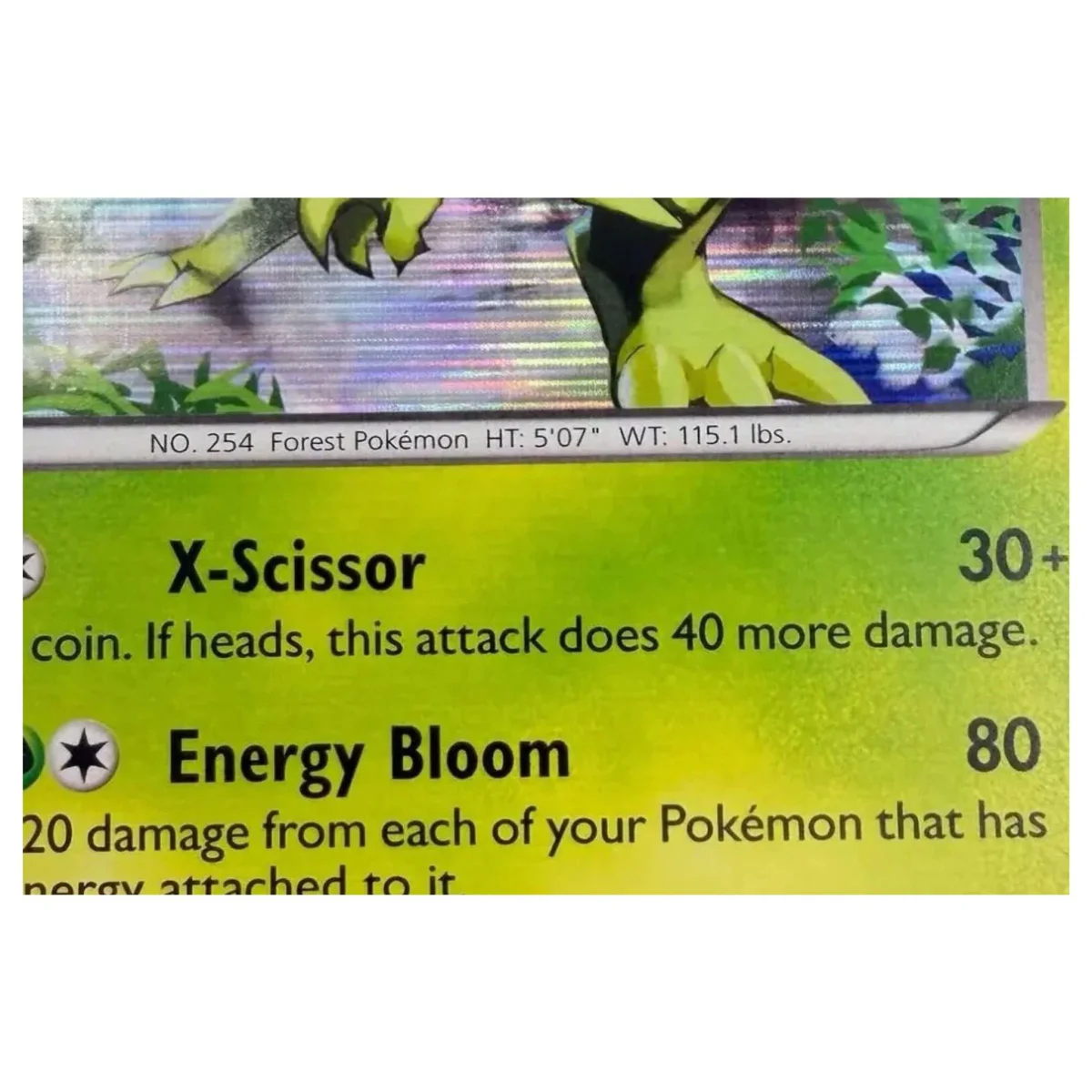 Pokemon Sceptile Holo — Plasma Blast 8/116 (Pokemon Kaarten) — Detailfoto 2