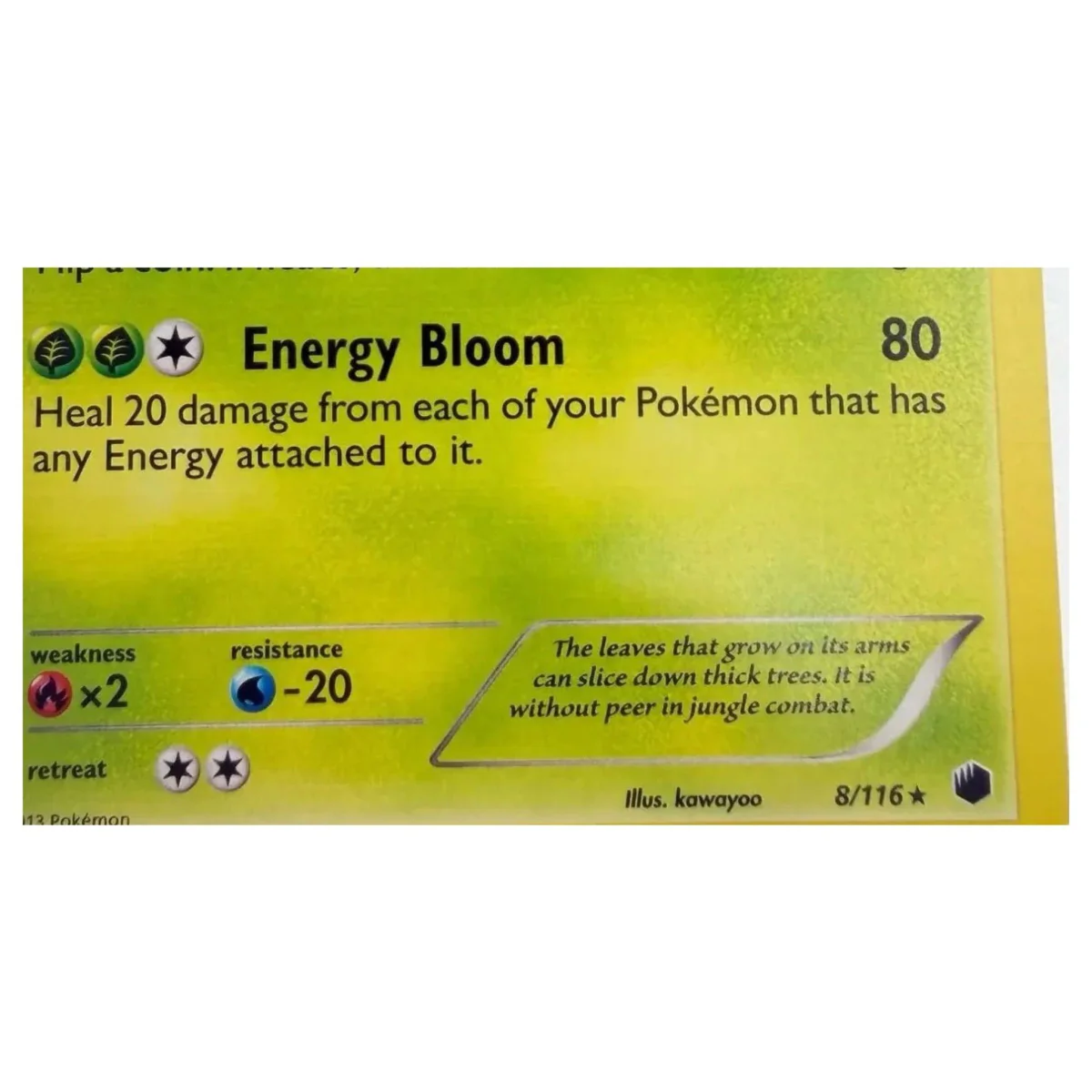 Pokemon Sceptile Holo — Plasma Blast 8/116 (Pokemon Kaarten) — Detailfoto 3