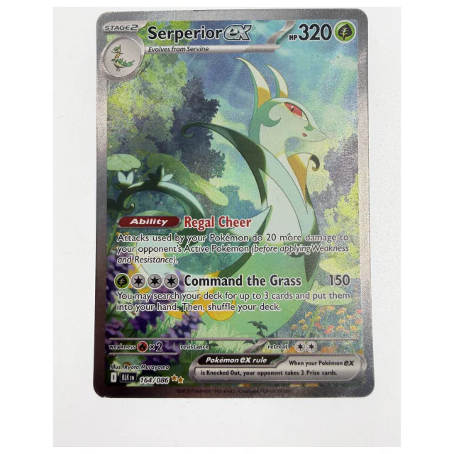 Pokemon Serperior ex — Black Bolt 164/086 — Pokemon Kaarten