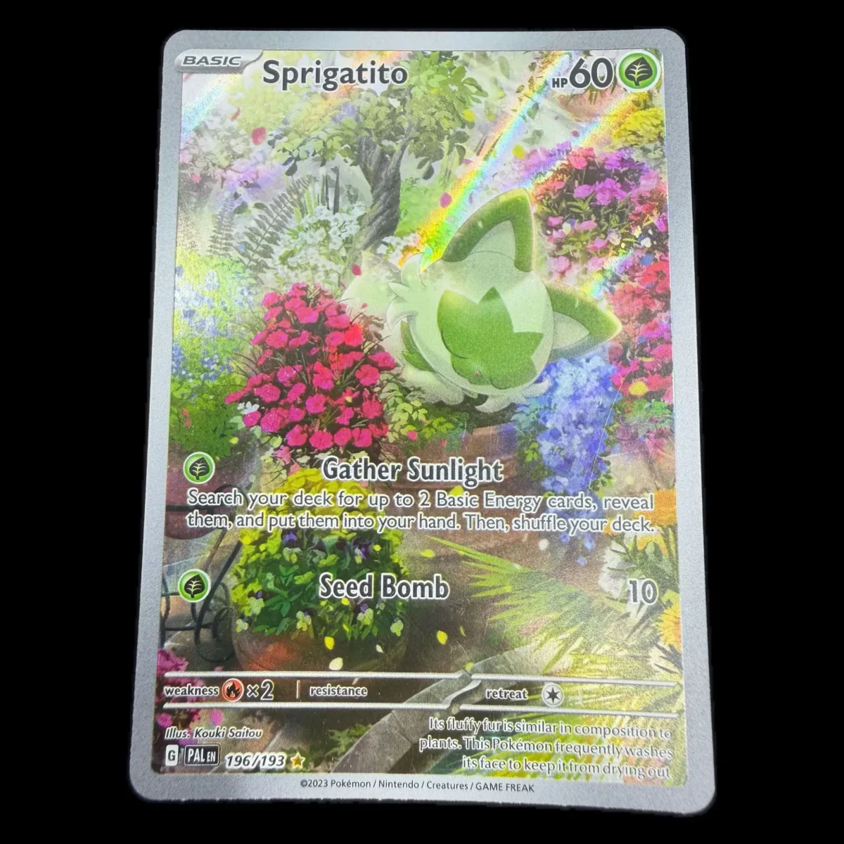 Pokemon Sprigatito Illustration Rare — Paldea Evolved 196/193 (Pokemon Kaarten) — детайлна снимка 1