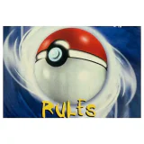 Pokemon Trading Card Game — originele spelregels/handleiding Game Boy / Color Label — Met handleiding