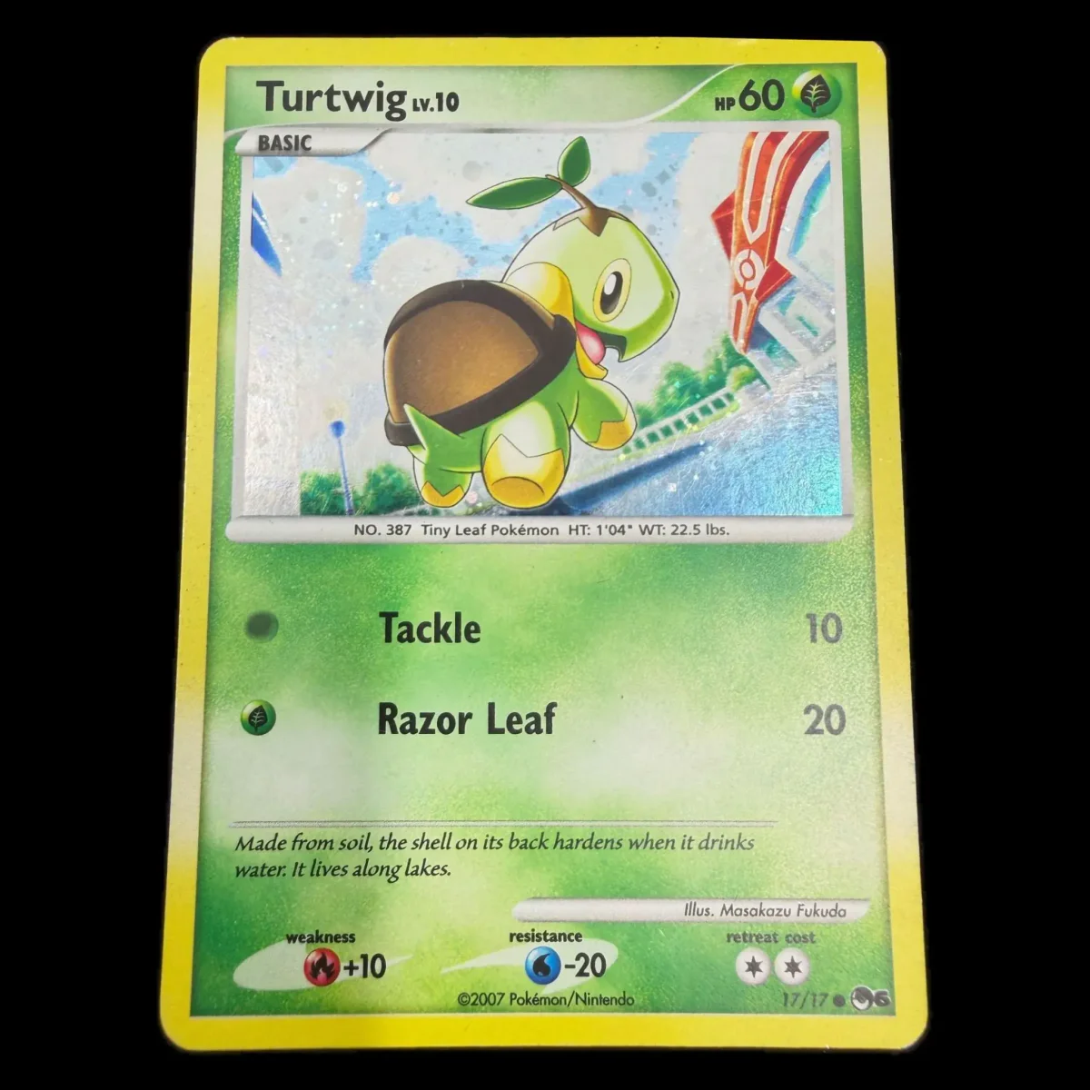Pokemon Turtwig Holo — POP Series 6 17/17 Pokemon Kaarten Voorkant — Losse kaart