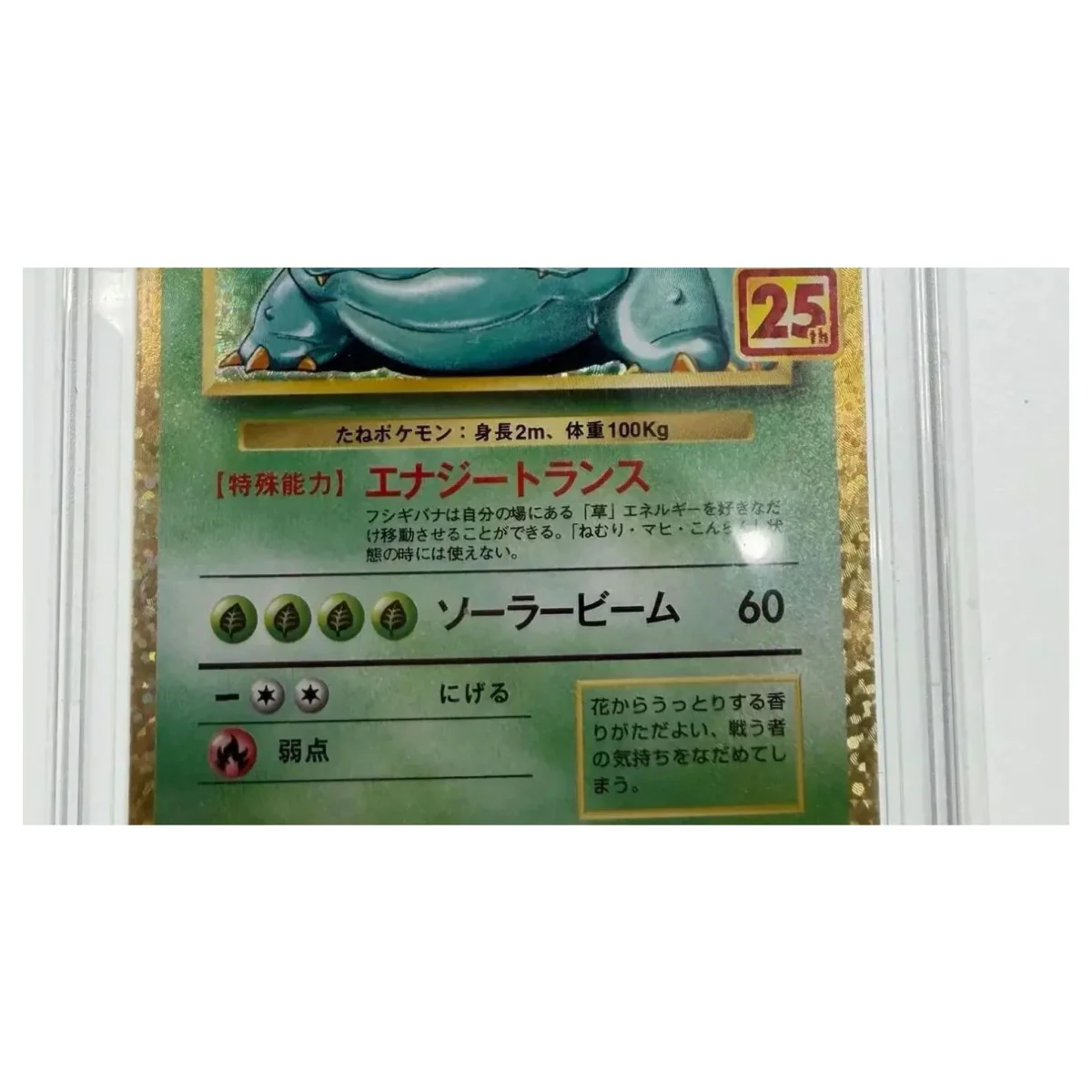 Pokemon Venusaur Holo 25th Anniversary (Japans) — PCP s8a-P 002/025 (Graded PSA 9) Pokemon Kaarten Binnenkant — Losse kaart