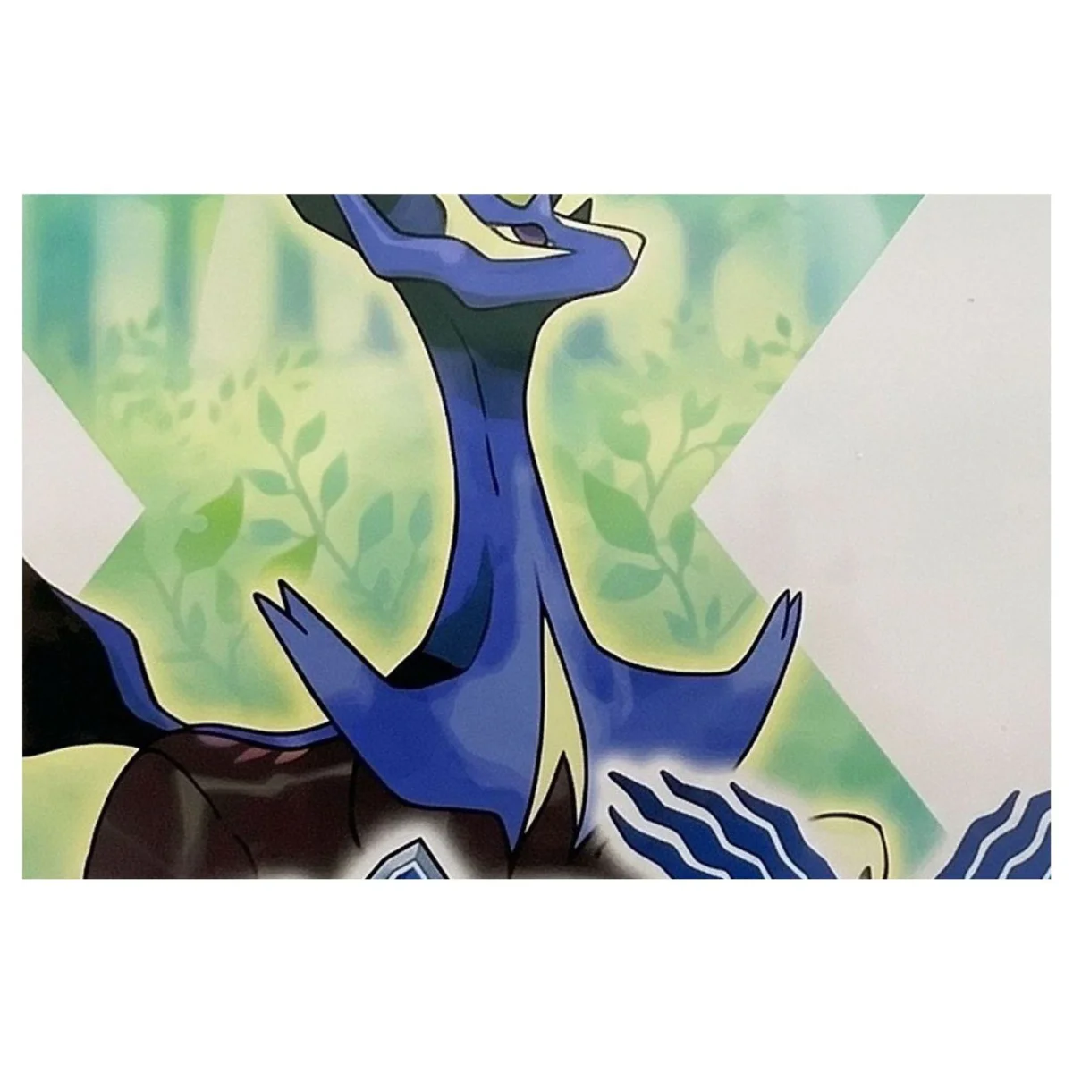 Pokemon X Nintendo 3DS Label — Game in doos