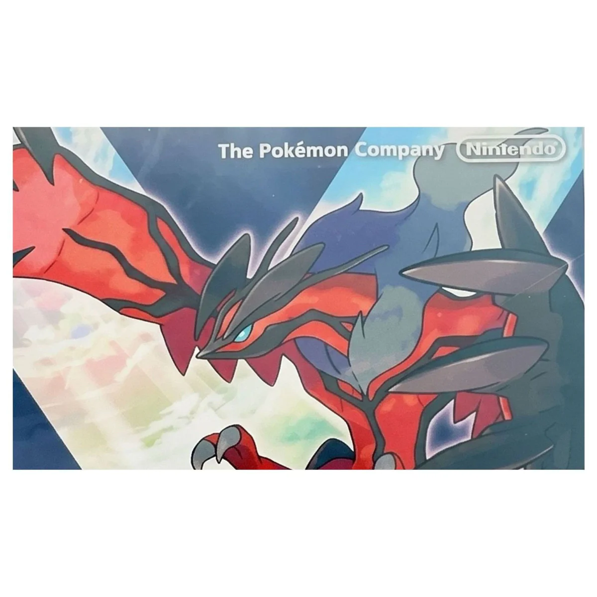 Pokemon Y Nintendo 3DS Detail — Game in doos