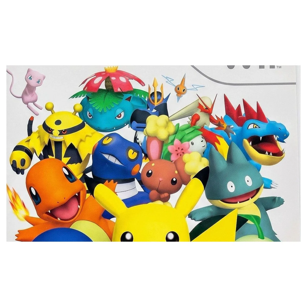 PokePark Wii: Pikachu's Adventure Wii Detail — Game in doos