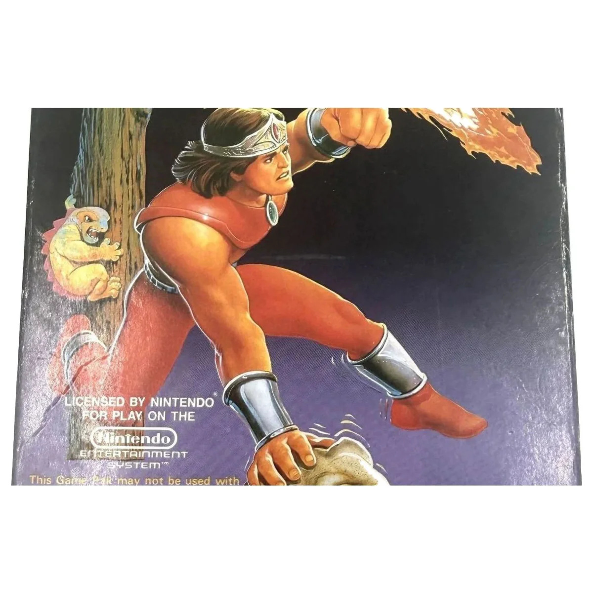 Rygar NES Label — Game in doos