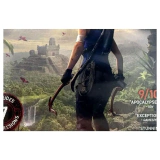 Shadow of the Tomb Raider Definitive Edition PlayStation 4 Label — Game in doos