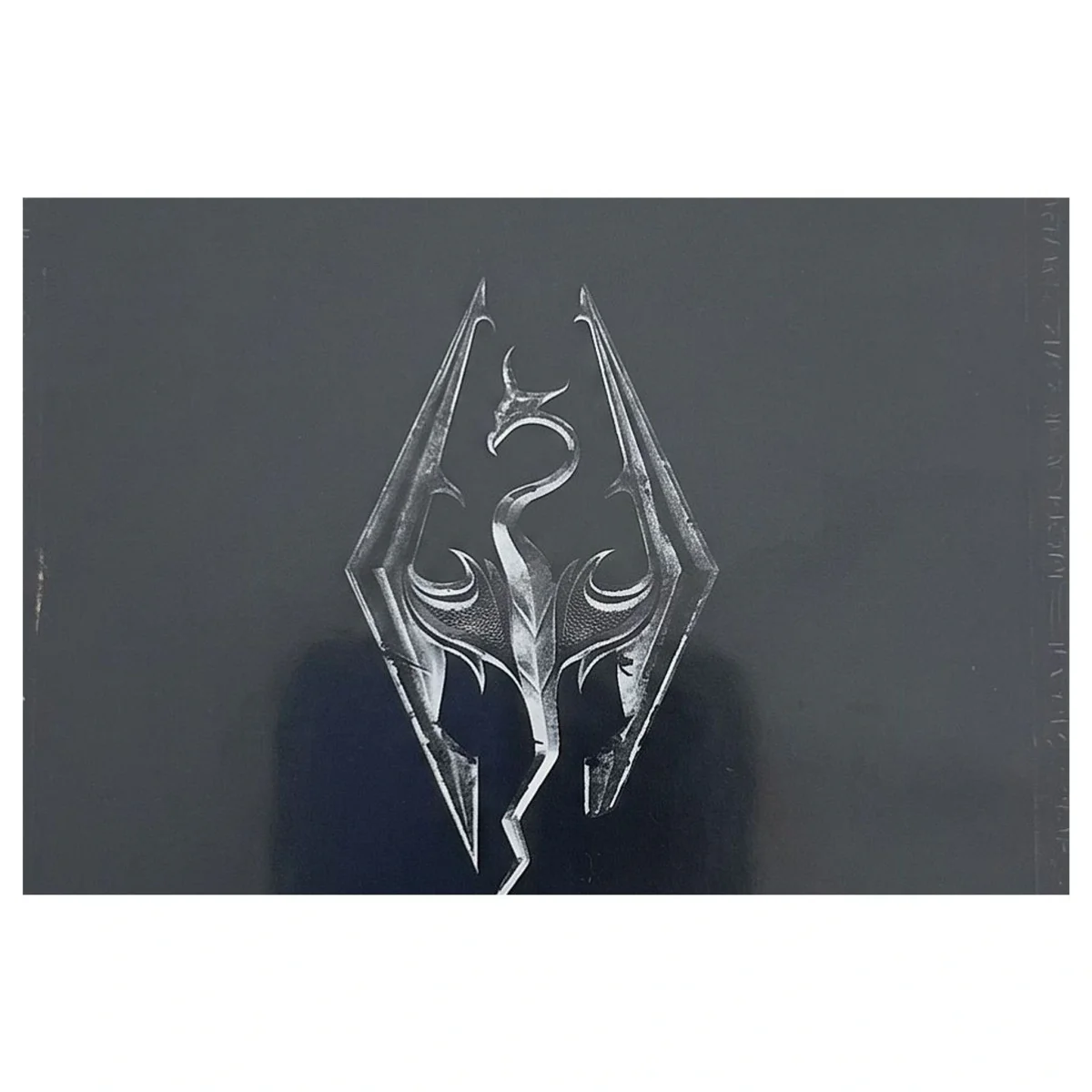 The Elder Scrolls V: Skyrim Nintendo Switch Label — Game in doos