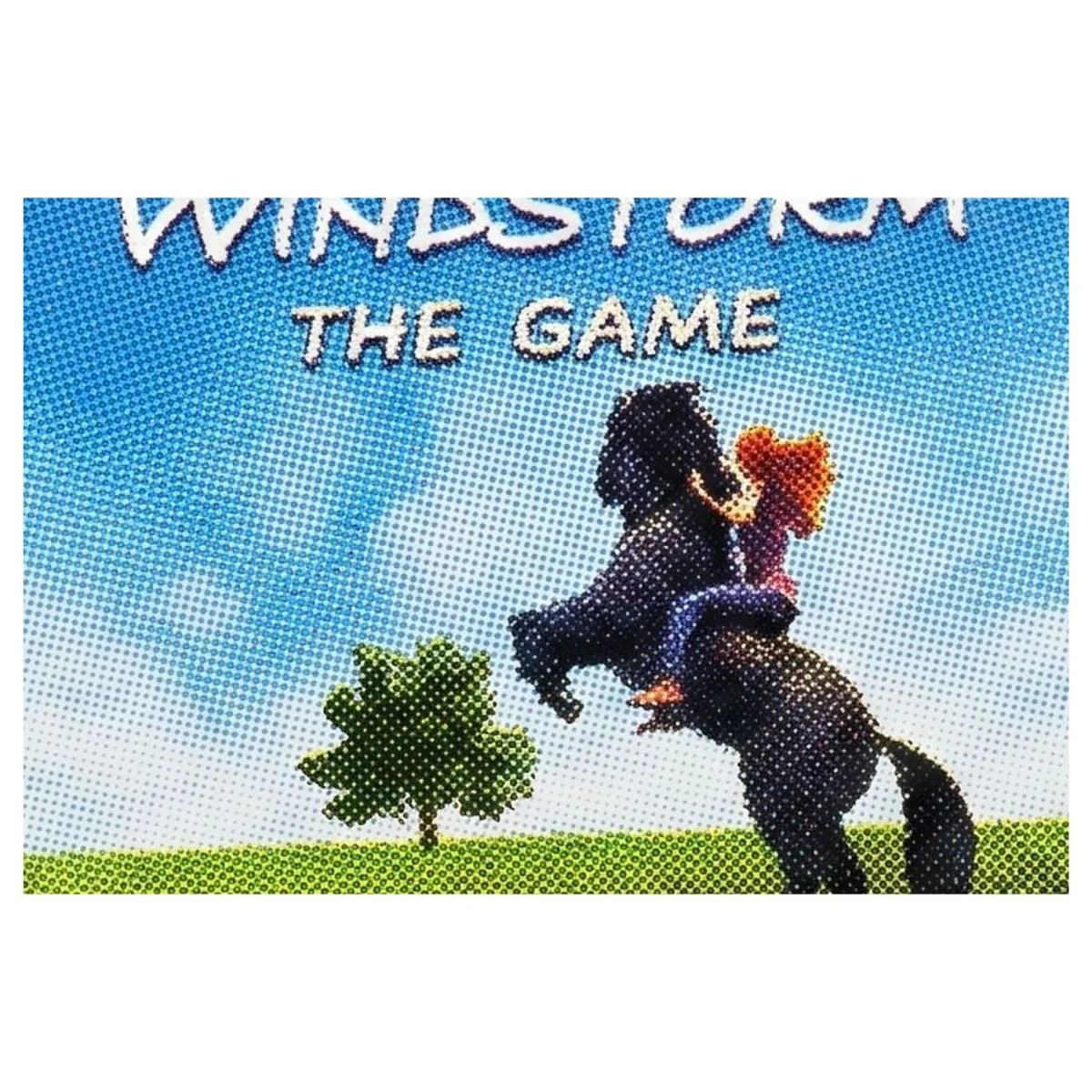 Windstorm: The Game Nintendo Switch Label — Losse cartridge